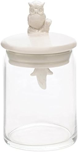 Glass Jar With Porcelain Owl Lid-2pack