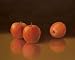 Apples - Still Life Art Print Poster By T.c. Chiu, 16" X 20", With Gold Metal Frame