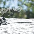 The Secret Miracle Fountain