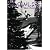 Slowlife The Rookies [DVD]