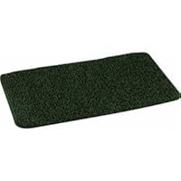 Grassworx Llc 18X30 Spruce Flair Mat 10370953 Mat Astroturf