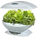 AeroGrow - AeroGarden 0016-02Z Salad Bar Series Arugula Seed Kit