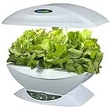 AeroGrow - AeroGarden 0016-02Z Salad Bar Series Arugula Seed Kit