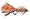 Woolly Bugger - Brown Fly Fishing Fly - Size 4