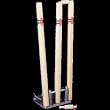 Cricket Spring Return Stumps Half Set