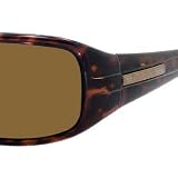 Carrera Control/S Sunglasses Tortoise / Brown Polarized