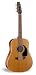 Seagull S12+ Quantum Acoustic/Electric Guitar