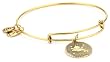 Alex and Ani Bangle Bracelet Bar Russian Gold-Plated Leo Bangle Bracelet