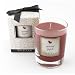 Spiced Apple 14oz. Candle