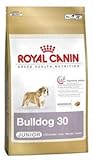 royal canin bulldog junior 3kg