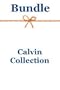 WORDsearch 7 Calvin Collection (This product is an unlock code for WORDsearch 7 Bible Explorer.)