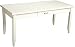 Kathy Ireland Home by Martin Tribeca Loft Writing Table, White
