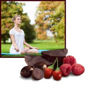 Brookside Dark Chocolate Goji and Raspberry Flavors Candy, 7-Ounce Bags 