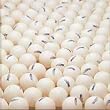 Set of 24 - Table Tennis Balls - Tournament Balls