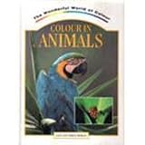 Colour in animals