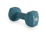 ProForm 10 lb. Neoprene Dumbbell