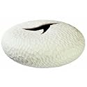 ASA Selection - Yoko Vase, Carve, 30 cm