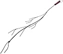 Rome's Marshmallow Tree Fork, Steel with Wood Handle