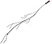 Rome's Marshmallow Tree Fork, Steel with Wood Handle