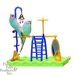 Buy JW Pet Company Insight Play Gym Small Bird Toy Assorted Colors by JW Pet Company