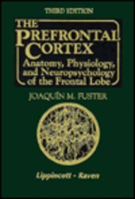 the prefrontal cortex anatomy physiology and neuropsychology of the frontal lobe