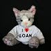 

Plush Stuffed Cat (Kit Kat) toy I Love Loan t-shirt