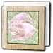 Pink Rose Light Floral Flowers Flower Photography - 6 Inch Tile Napkin Holder