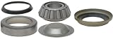 Raybestos 530-1217 Professional Grade Steering King Pin Set