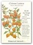 Chinese Lantern Heirloom Seeds 75 Seeds