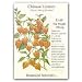 Chinese Lantern Heirloom Seeds 75 Seeds
