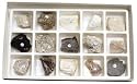 Introductory Rock Collection; 15 Specimens