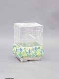 Kordon Oasis Novalek Amquel Plus 5 gallon KORD AMQUEL PLUS 5GAL