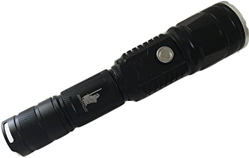 LED Flashlight - Bright, Rechargeable, Compact, Aluminum, Water Proof, High Power Tactical Pocket Flashlight for Camping, Hiking, Hunting and Emergency - Charger and Battery Included - Also Uses AAA