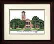 Midwestern State University Alumnus Alumnus 14x18 Mahogany Framed Collegiate Lithograph