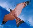 bird kite