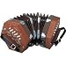 Hohner D40 Concertina with Gig Bag