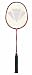 Sporting Goods : Carlton Powerblade C600 Badminton Racquet