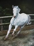 12X16 inch Animal Portrait Canvas Art Repro Rushing White Horse