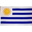 Aspire Uruguay Nylon Flag With Pole, Flag Size: 6" x 9", Pole Length: 12", Price/100pcs