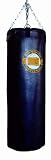 Everlast Worldwide Heavy Bag