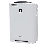 エグズメーション