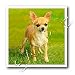 image 32 -