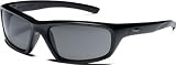 Smith Optics Director Tactical Sunglass with Black Frame (Gray Lens)