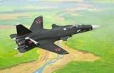 Eigenschaften Revell 04000 / Revell Modellbausatz 04000 - Suchoi S-37 Berkut im Maßstab 1:144