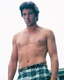 RICHARD GERE 24X36 COLOR POSTER PRINT