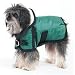 CLASSIC COUNTRY COAT, Color: GREEN; Size: SMALL (Catalog Category: Dog:FASHION)