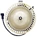 TYC 700009 Dodge Durango Replacement Blower Assembly