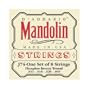 D'addario J74 Medium Phos Bronze Mandolin Strings (11-40)