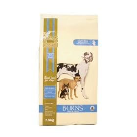 Burns Lamb and Maize for Adult Dogs 15 kg