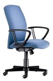 Census Conference Chair